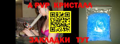 не бодяженный Кингисепп