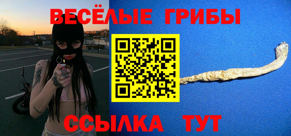 Галлюциногенные грибы GOLDEN TEACHER  Псилоцибиновые грибы ЛСД  Красноярск  Вход с VPN 